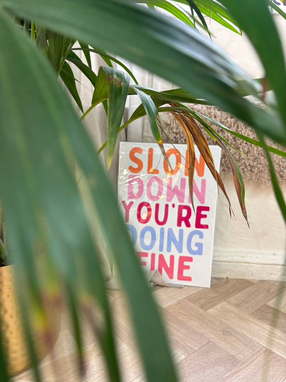 Slow Down You're Doing Fine A3 Print